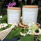 Two Shenandoah Breeze candles on a natural setting with flowers and leaves.
