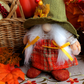 Delightful Plush Seasonal Cute Adorable Autumn Gnomes