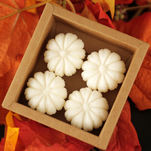 Pumpkin Spice Wax Melts 1