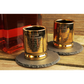 Shot Glasses with Coasters 2