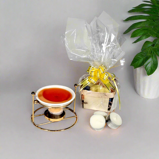 Scented Coconut Soy Wax Melts - Set of 6. Home Fragrance for Candle Warmers