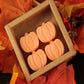 Pumpkin Spice Wax Melts - Set of 4 Wax Melts. Home Fragrance for Candle Warmers